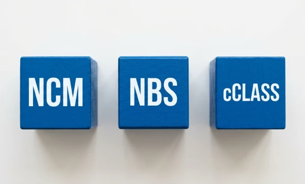Como Revisar NCM NBS